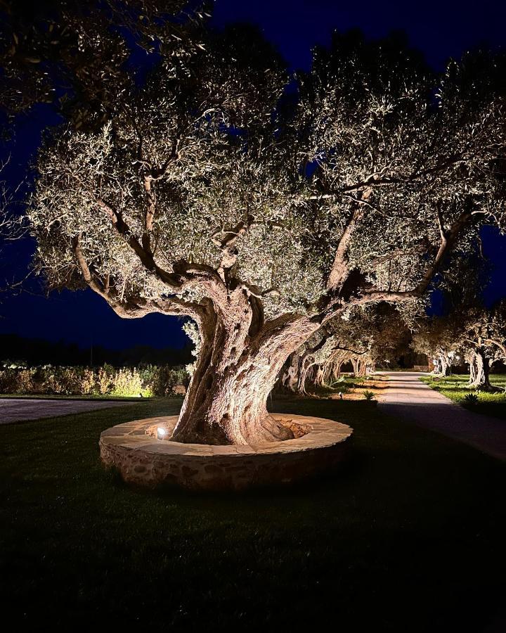 Peristerionas Estate Daire Karystos  Dış mekan fotoğraf